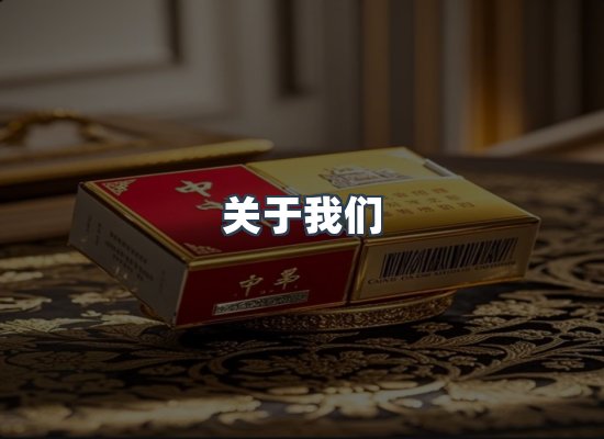 关于我们
